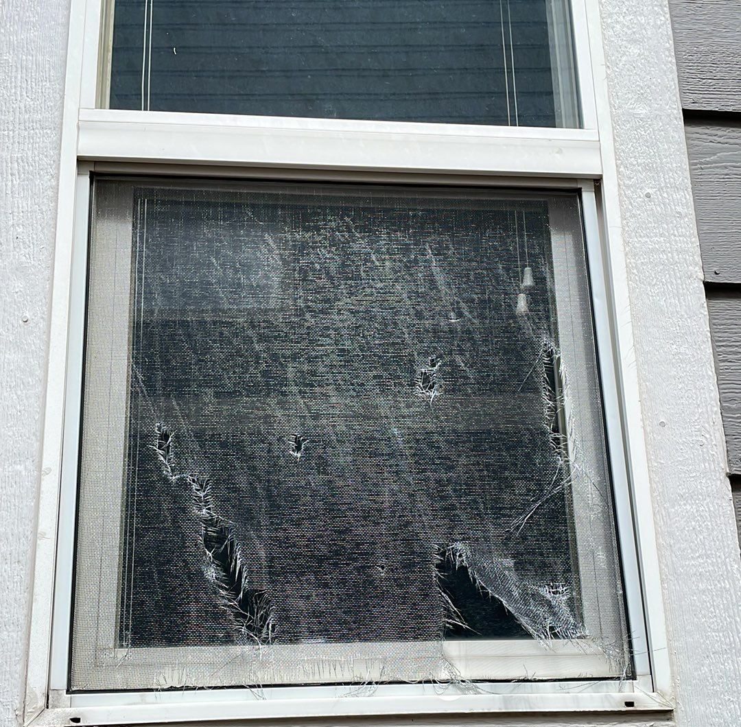 hail-damage-window-screen-replacement-windows