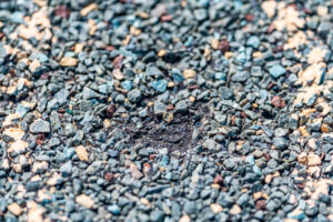 Macro of hail damage on asphalt shingle residential roof circled with a chalk outline during a home inspection. High quality photo