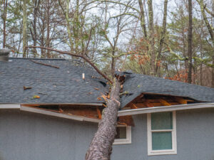 Storm damage on house with tree fallen on roof, homeowners insurance roof replacements needed to make repairs