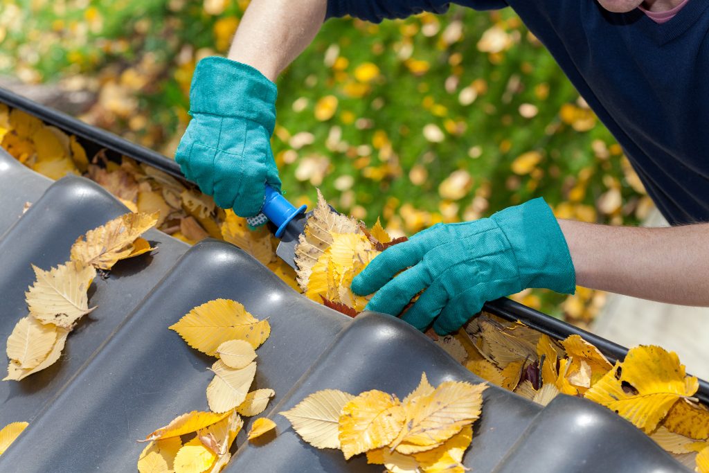 A man taking autumn leaves out of gutters for gutter cleaning and repair
